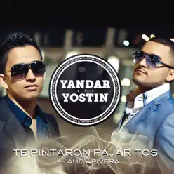 Te Pintaron Pajaritos (Radio Edit) [feat. Andy Rivera] - Single - Yandar & Yostin