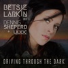 Driving Through the Dark