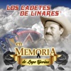 No Hay Novedad by Los Cadetes De Linares iTunes Track 4