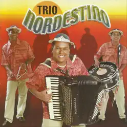 Meu Eterno Xodó - Trio Nordestino