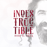Diego El Cigala - Indestructible artwork
