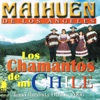 Llorando Ausencia by Maihuen de los Angeles iTunes Track 2