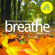 Benjamin P Bonetti - Breathe - Effective Stress Reduction: Work Pressures: Mindfulness Meditation