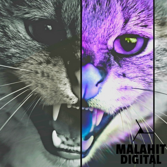 Cover artwork for Macka