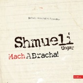Mach a Bracha! artwork