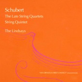 String Quartet No. 12 in C Minor, D. 703 'Quartettsatz' artwork