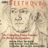 Andrew Willis & Sue Ann Kahn - Andante in F Major, WoO 57 "Andante favori": Andante grazioso con moto