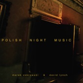 Marek Zebrowski & David Lynch - Night - A Woman On A Dark Street Corner