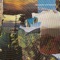 Animal Language - Imaginary Softwoods lyrics