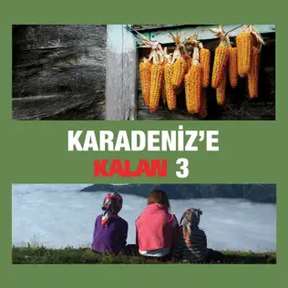 baixar álbum Various - Karadenize Kalan