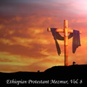 Ethiopian Protestant Mezmur, Vol. 8 artwork