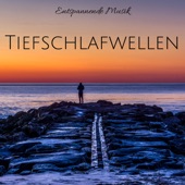 Tiefschlafwellen: Entspannende Musik, Beruhigende Meeresgeräusche, Naturgeräusche artwork