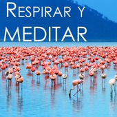 Respirar y Meditar - El Arte de Yoga, Meditación Zen y Relajacion Profunda artwork