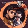 Sabes Que Me Encantas (Remix) [feat. J Alvarez] - Single