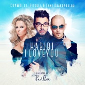 Habibi I Love You (feat. Pitbull & Fani Drakopoulou) [Greek Version] artwork