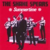 Shake Spears - What Happened