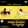 Dilwale Dulhania Le Jayenge (Original Motion Picture Soundtrack) [Dialogues Version] - Jatin-Lalit