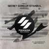 Secret Song of Istanbul - Single