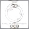 OCB (feat. Mitch Website) - Karol Tip lyrics