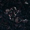 Helena - Unlike Pluto lyrics