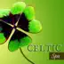 Celtic Spa - A New Journey into Relaxation with Nature Sounds Music and Irish Harp album cover