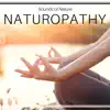 Naturopathy - Sounds of Nature, Biofeedback, Autogenic Training, Healthy Sleep, Breathing Exercises, Long Relaxation album lyrics, reviews, download
