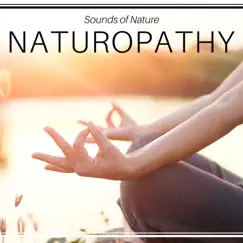 Naturopathy - Sounds of Nature, Biofeedback, Autogenic Training, Healthy Sleep, Breathing Exercises, Long Relaxation by High School Reading and Study Music & Mindfulness album reviews, ratings, credits