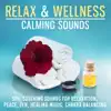 Relax & Welness Calming Sounds: Spa, Soothing Sounds for Relaxation, Peace, Zen, Healing Music, Chakra Balancing album lyrics, reviews, download