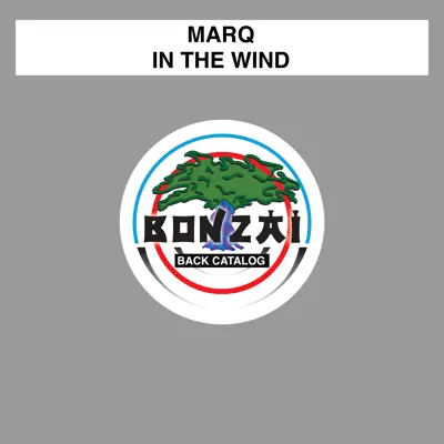 In the Wind - Single - Marq
