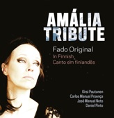 Amália Tribute artwork