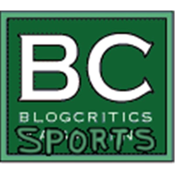 BC Sports Treehouse Fort cover