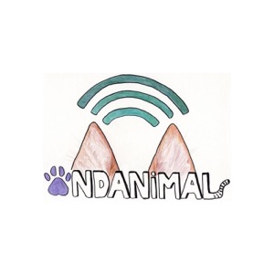 03x05 21-11-2016 ONDANIMAL. Entrevista a Jaime Alcala de Taxi Guau!