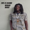 Put it Down - Single