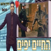 החיים יפים artwork