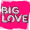 Big Love Latin Love (Mixed by Seamus Haji) album lyrics, reviews, download