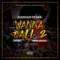 Wanna Ball 2 (feat. Fat Trel & Yuppie Lifestyle) - Rashad Stark lyrics