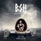 Ich seh gut dabei aus (feat. Die Atzen & Serk) - B.S.H lyrics