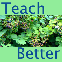 Podcast #17: Teacher as Provocateur with Jonathan Holloway