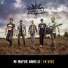 Mi Mayor Anhelo - Single