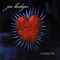 Mitral Valve Prolapse - Joe Hedges lyrics