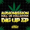 Big Up - EP