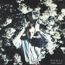 Tender Pervert - Momus