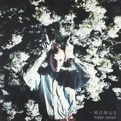 Tender Pervert - Momus Tender Pervert - Momus