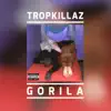 Gorila song lyrics