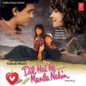 Dil Hai Ki Manta Nahin (Instrumental) artwork
