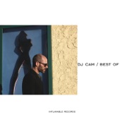 DJ Cam - Love Junkee - J Dilla Remix - Feat Cameo & J Dilla