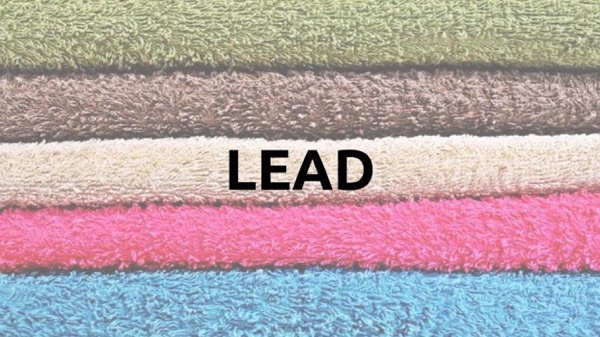 Lead With A Towel cover