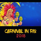 Carnival in Río 2018 – Best of Latin Music, Feel the Brazilian Fever artwork