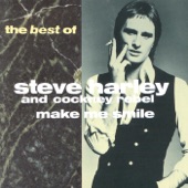 Make Me Smile: The Best of Steve Harley artwork