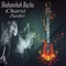 Ogora Haal - Shahanshah Bacha lyrics